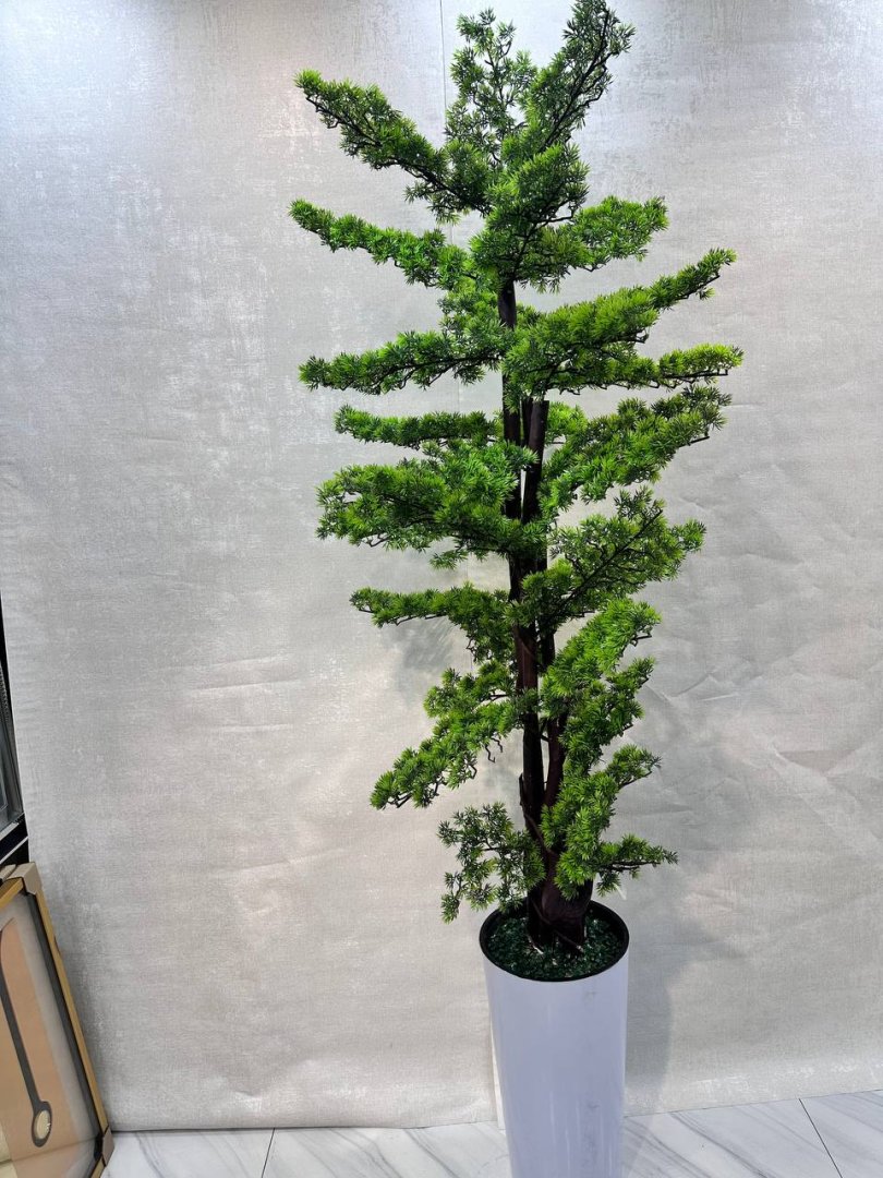 Dekorativ sun'iy bonsai / qarag'ay daraxti — qat-qat ignabargli baland archa (sosna), oq tuvakdagi premium interyer daraxti  18563   o.p.15Pd