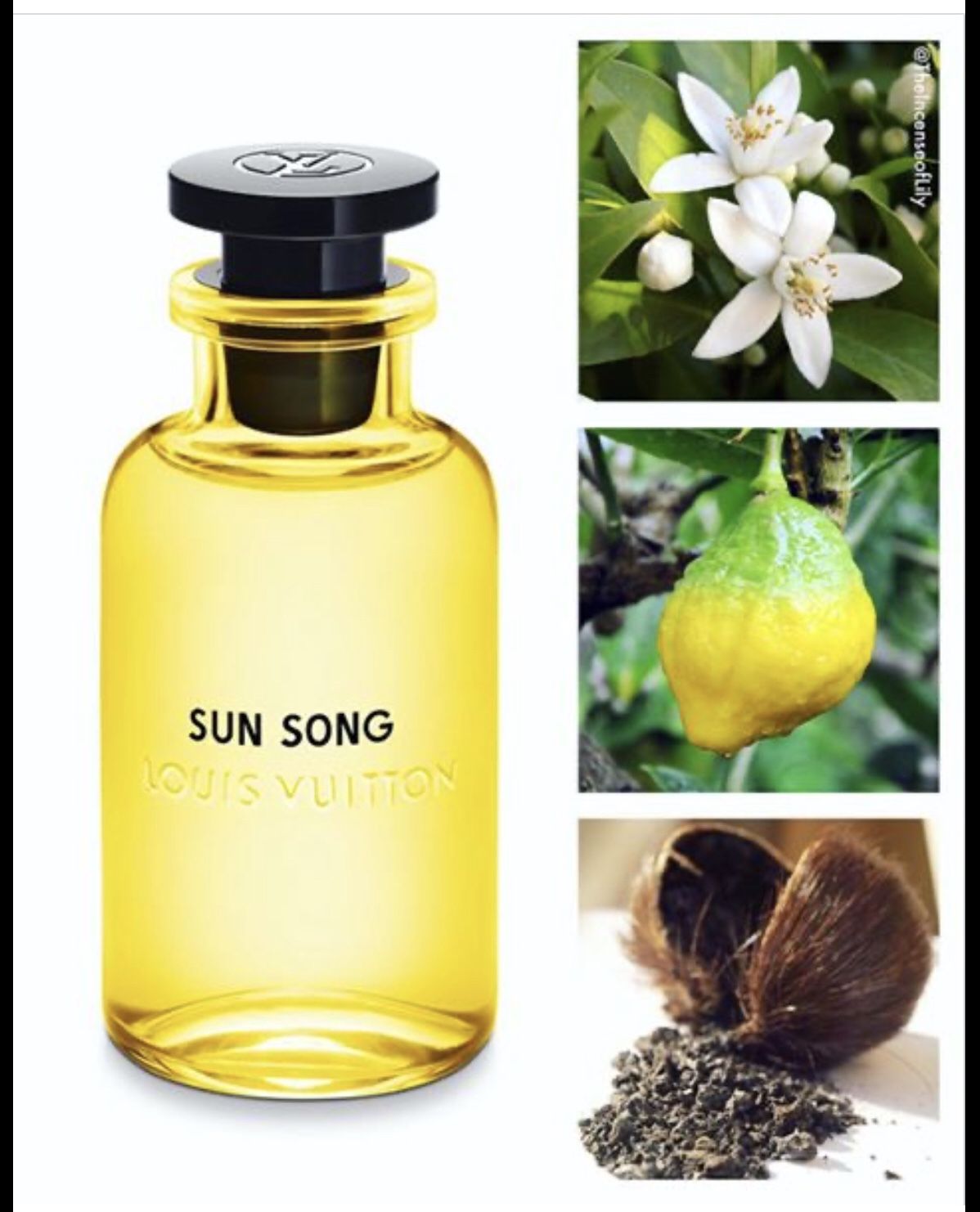 Sun Song Louis Vuitton 100 ml (2025) GA