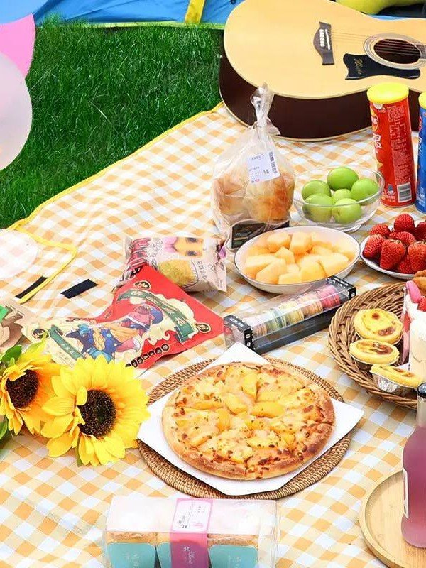 Piknik va hordiq uchun suv o'tkazmaydigan katakli kovrik (200x200 sm) 18245 c.2q.23d