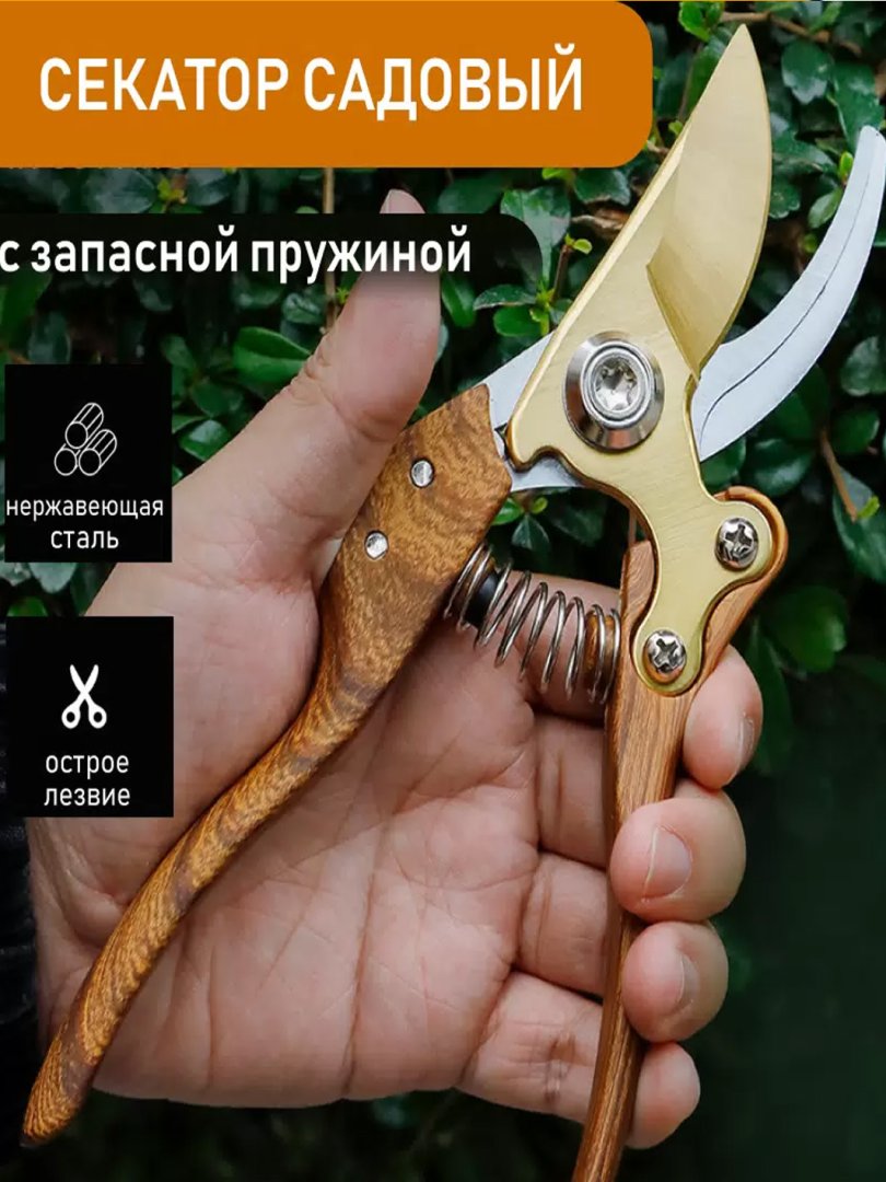 Professional bog‘ qaychisi (Sekator) – SK5 po‘latdan  15496