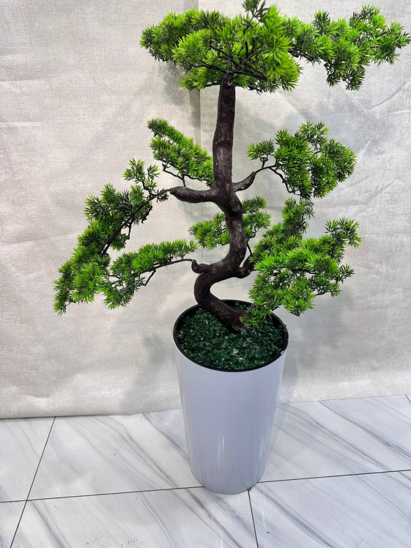 Dekorativ sun'iy bonsai daraxti — yapon uslubidagi egri poyali qarag'ay (sosna / archa), baland oq tuvakdagi premium interyer daraxti  18561  o.p.15Pd